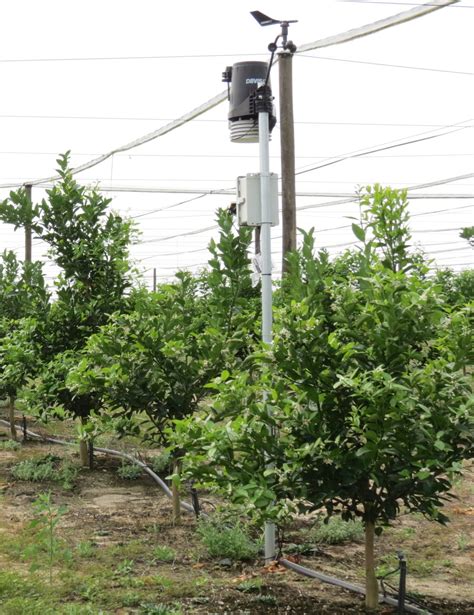 moisture meter citrus|soil sensors for citrus groves.